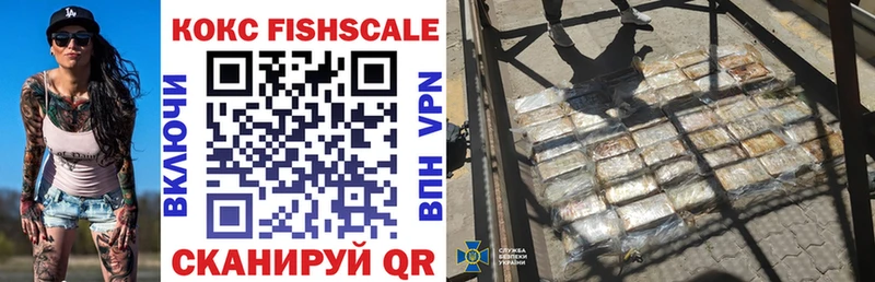 Купить закладки  Железноводск  Cocaine 98% 