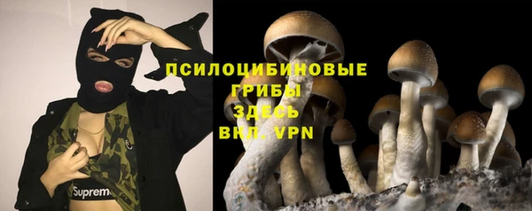 дмт Сосновка