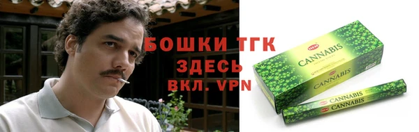 дмт Сосновка